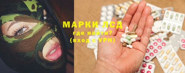 гидра Алексеевка