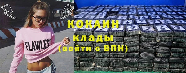 твердый Абаза