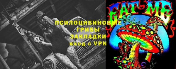 твердый Абаза