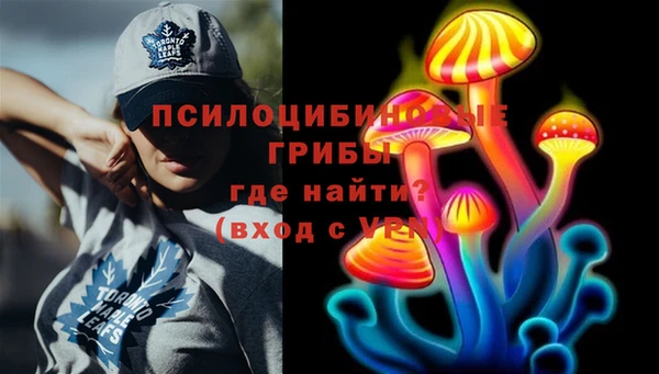 не бодяженный Алзамай