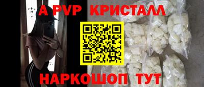 индика Камень-на-Оби