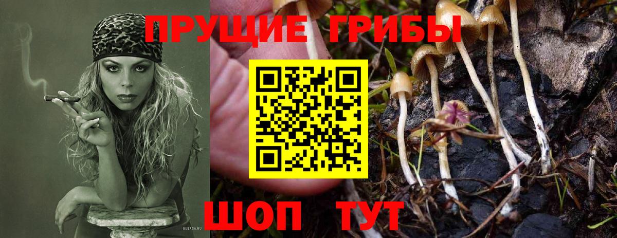 Галлюциногенные грибы Magic Shrooms Шарыпово
