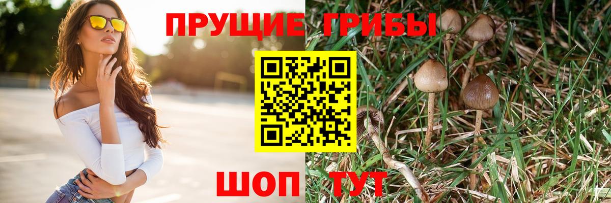 Галлюциногенные грибы ЛСД  Вход с VPN  наркошоп  Шарыпово 