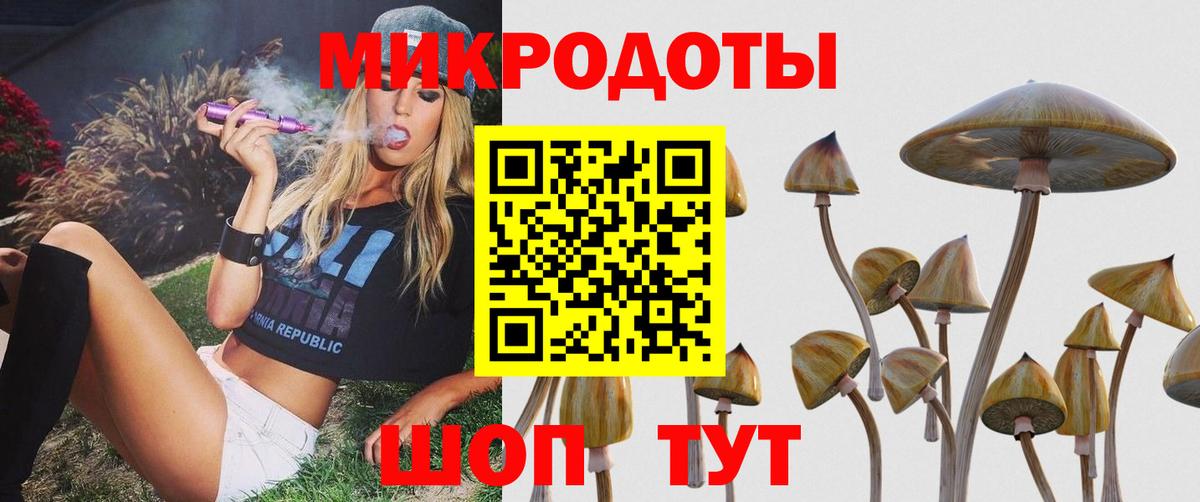 Меф   Альфа ПВП СК   Шарыпово  Вход с VPN  Марихуана  Гашиш  Cocaine 